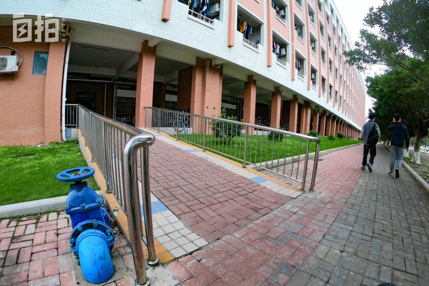 我,坐轮椅的大学生,上天能跳伞、下海能潜水,像普通人一样生活