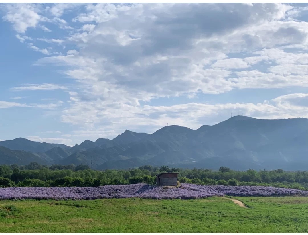 一个男人喝多就会打骂妻子怎么办,有病的男人打骂妻子