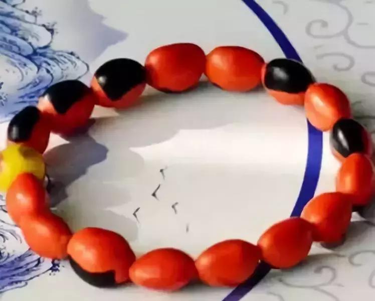 最全的菩提子图解太美了,最好的菩提子