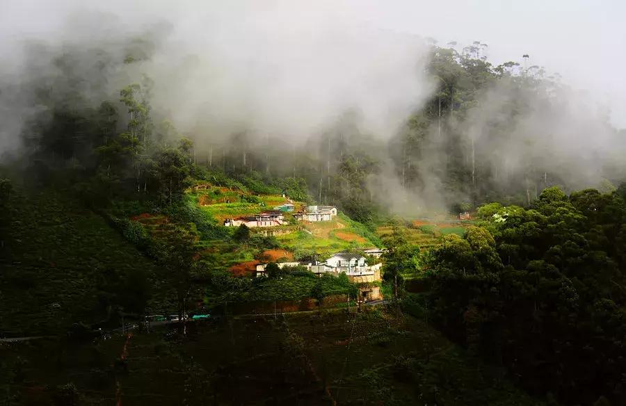 一生必去一次的神奇国度，榴莲白菜价，还有千与千寻里的海上火车