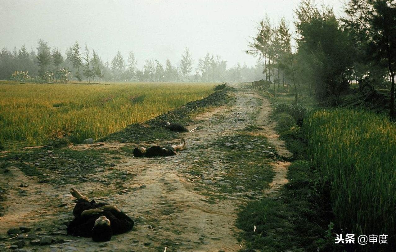 越战骇人*案惨**：数百平民遭美军屠戮，仅1人担责也只关了数月