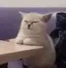 真人真事到底怎么办,真人真事应该怎么办