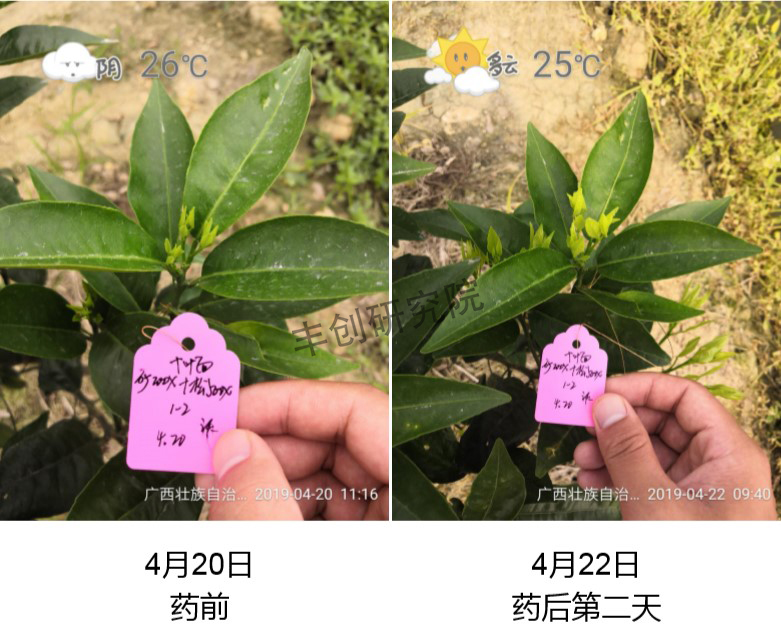 矿物油冬季清园配方和做法,冬季清园打矿物油有注意什么