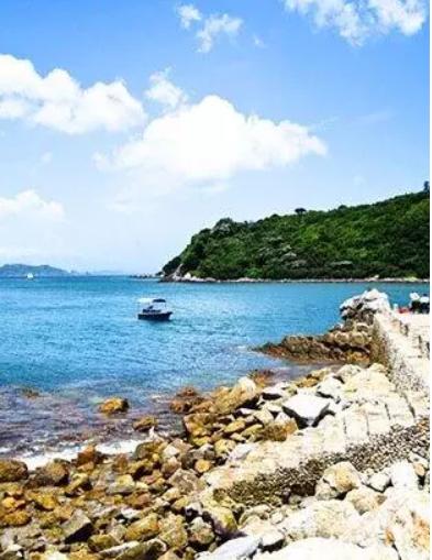 发现深圳红树林之美,发现小众风景点