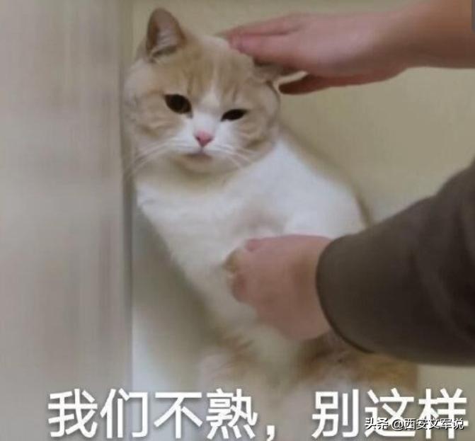 变着法处罚员工？生吃蚯蚓、喝厕所水、跪地爬行