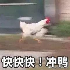 海口免税店日月广场临期产品,海口日月广场免税线上购买