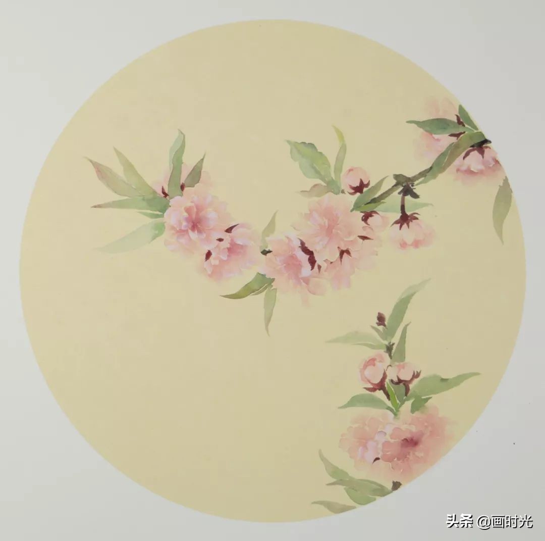 国画教程花卉入门,国画教程入门基础花草画