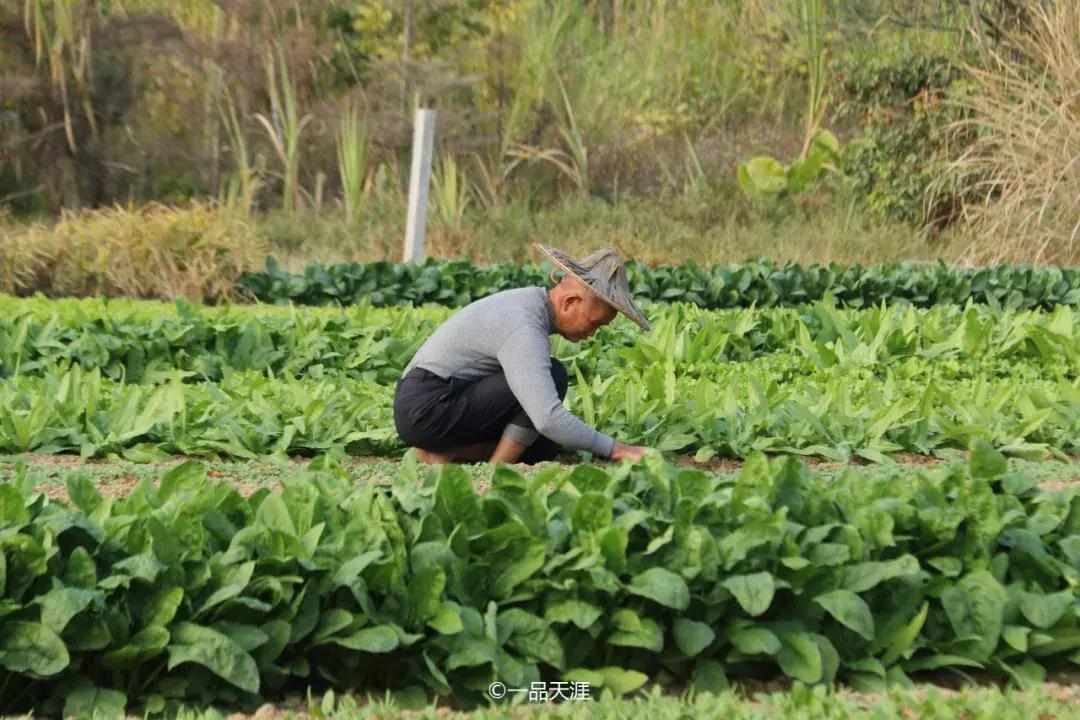 千年古县长泰,千年古县状元故里长泰