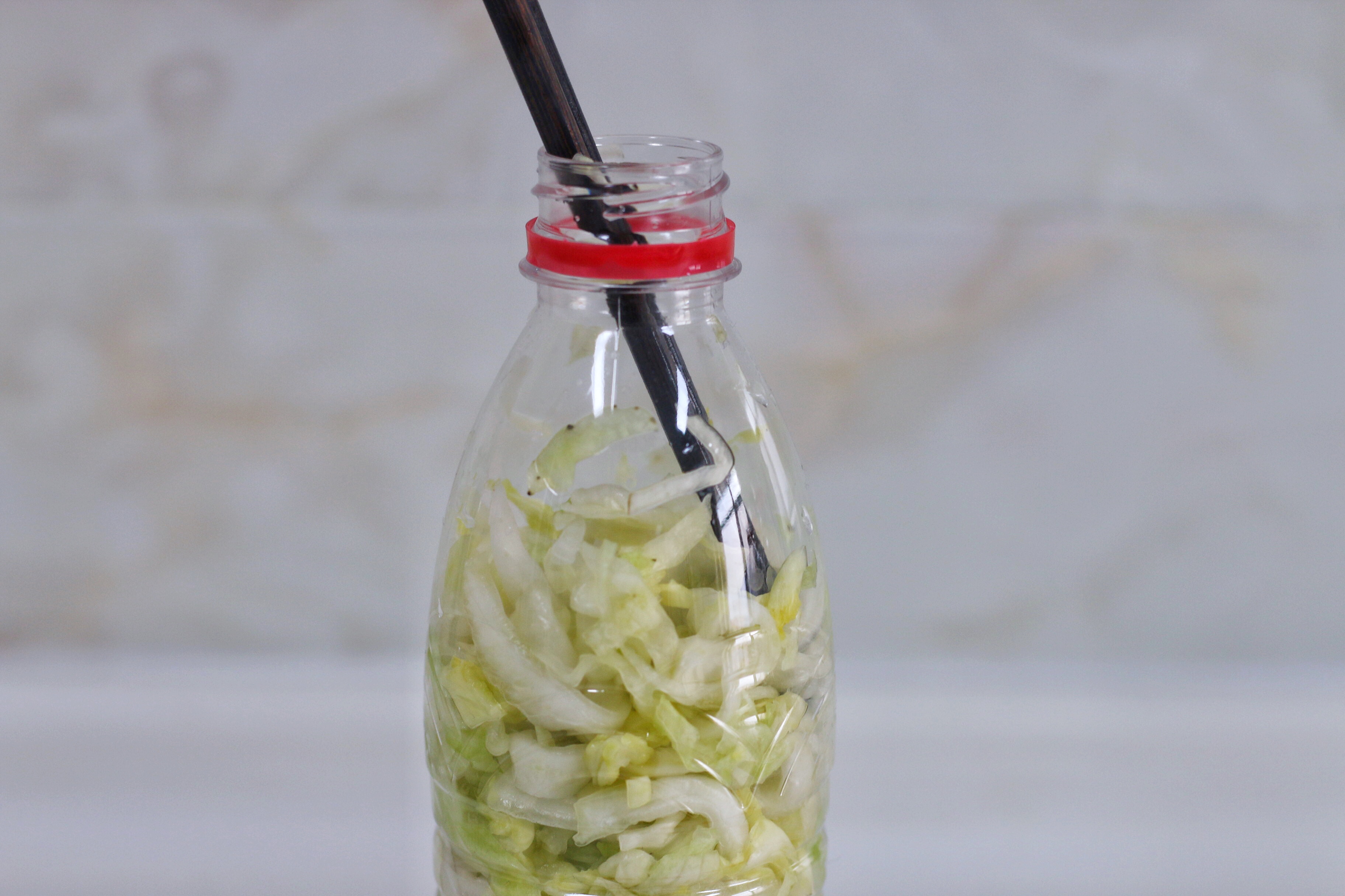 东北酸菜的腌制方法酸菜炖粉条,想吃老坛酸菜怎么做法