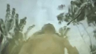 亚马逊河里的恐怖之处,亚马逊河里有多恐怖