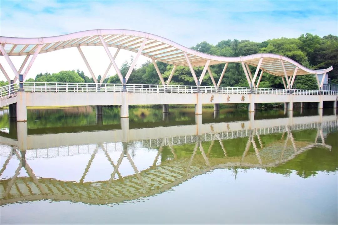 今天我以湖经为荣,明天湖经以我为傲