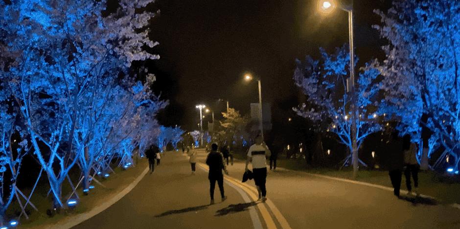 南京的小众景点非常适合一个人去,南京充满森林的公园