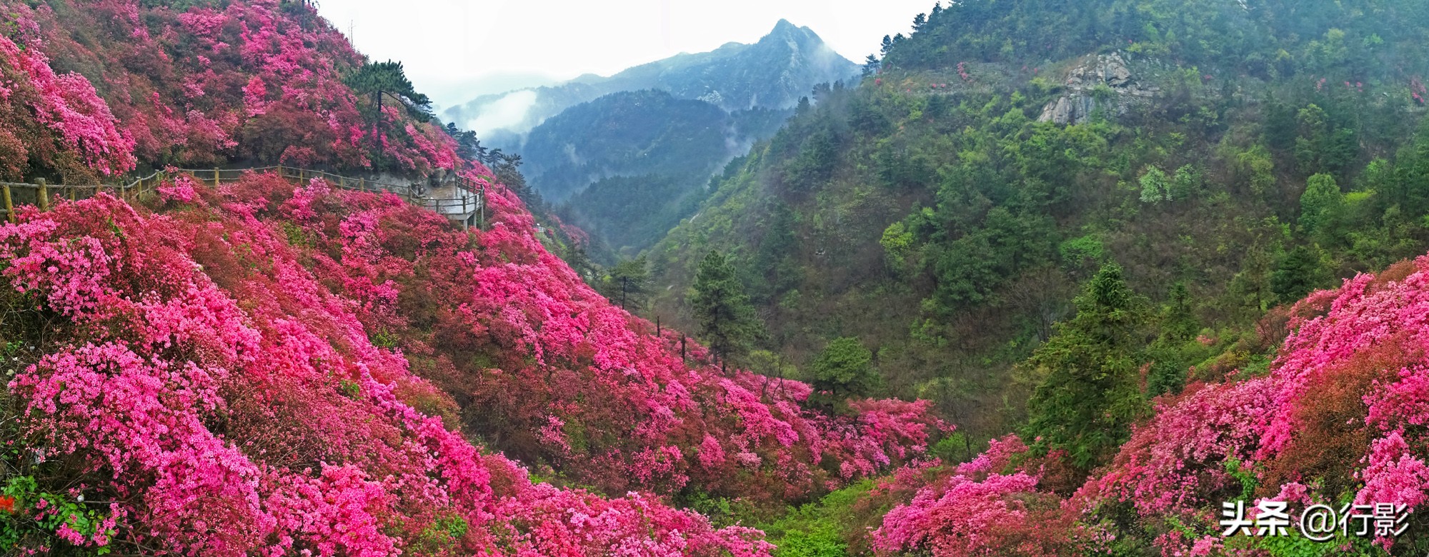 武汉青山网红打卡景点,云雾山武汉