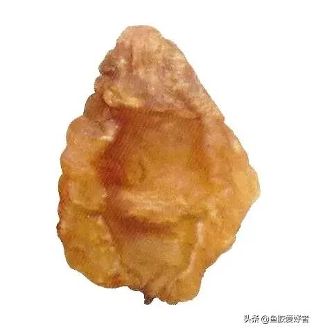 鱼胶如何挑选适合自己吃的,泡好的鱼胶肉质q弹