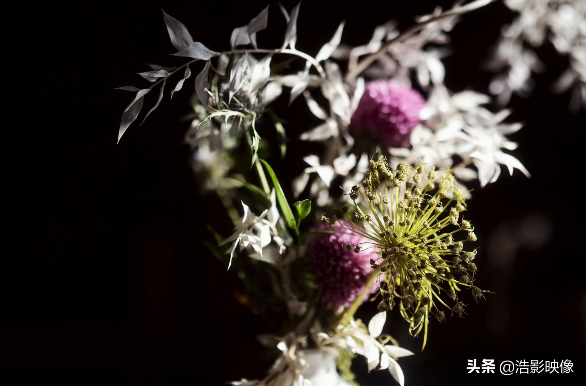 尼康58f0.95样片,尼康58mmf1.4g评测