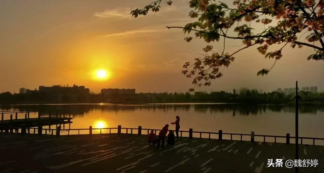 婷婷在双流向全球数十亿人直播！！连海外都……