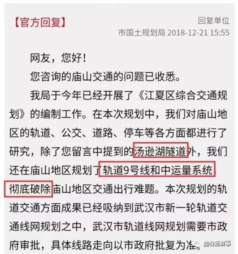 庙山汤逊湖隧道,两湖隧道将南延下穿汤逊湖隧道