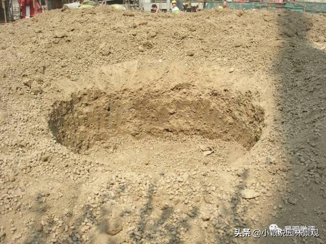 住宅小区植物配置方案,植物种植小技巧一览表图