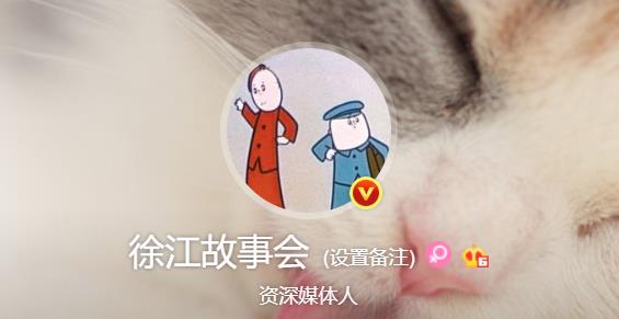 解读中国足球,深度解析中国足坛