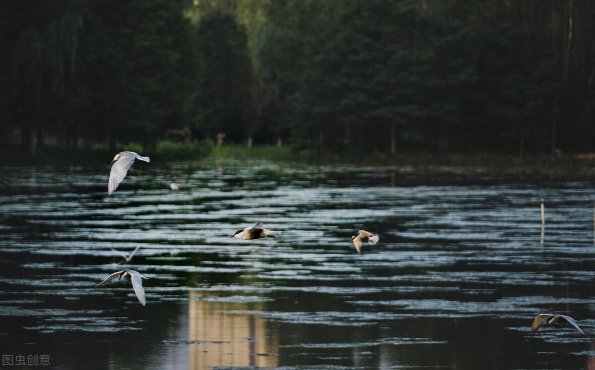 长沙本地一日游,长沙一日游价格