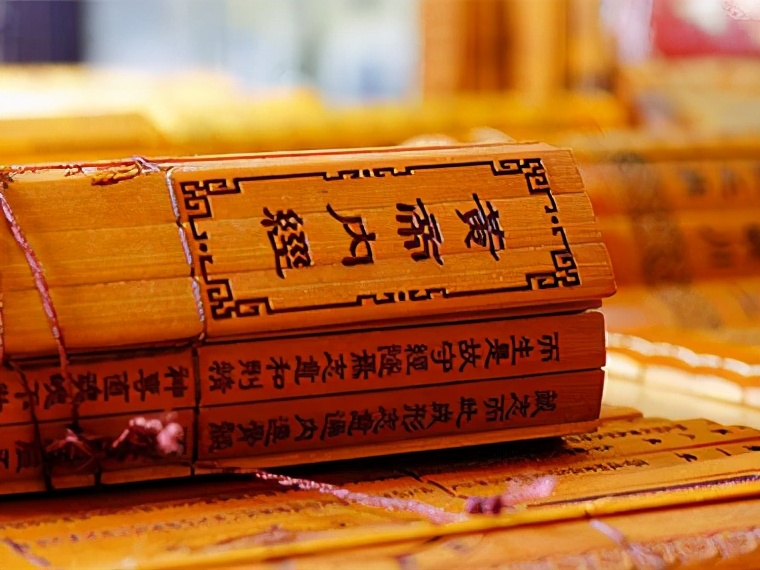 中医络脉的构成,络病学代表方剂