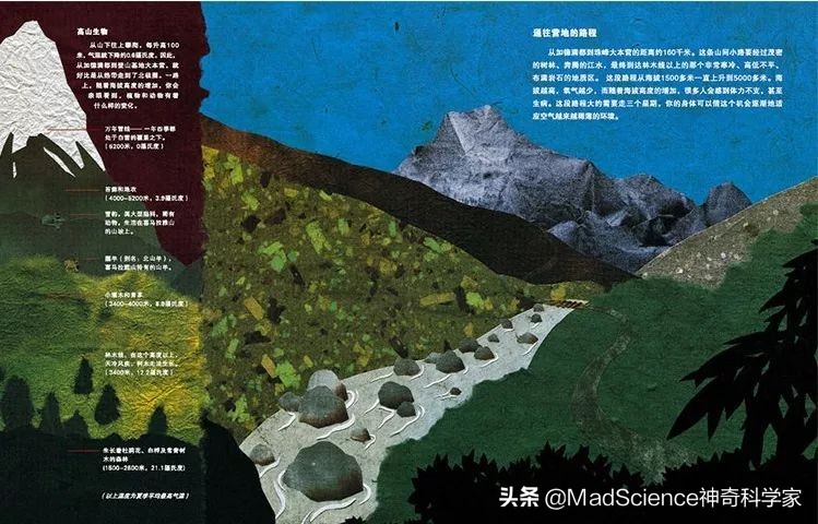 值得孩子阅读的100本经典读物,强烈推荐0-6岁孩子的成长阅读书单