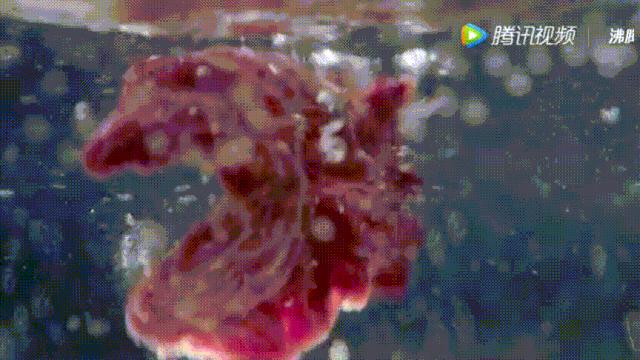 明星投毒吓人事件,深夜放毒招人恨的视频