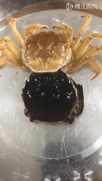 好奇宝宝会问的问题,好奇宝宝每日三问