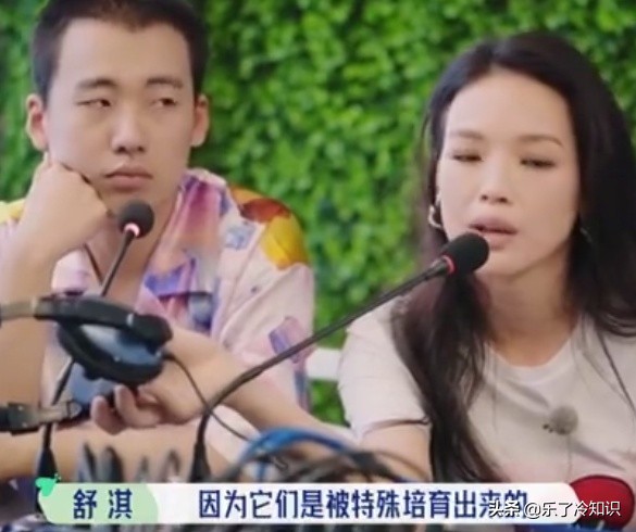 舒淇倡导领养代替购买,橘猫狸花猫狮子猫,多多关注流浪猫