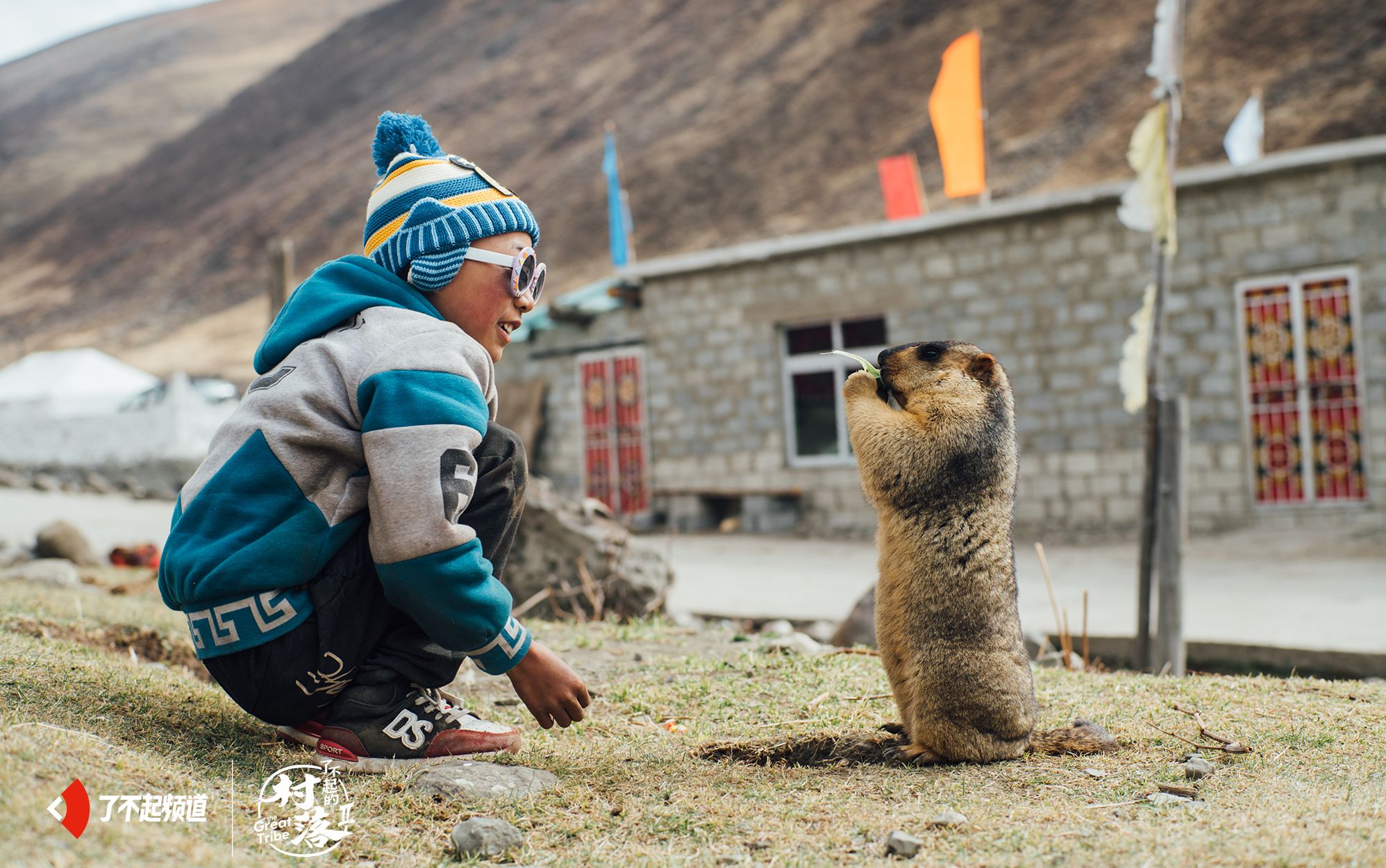 摸了萌萌的土拨鼠会感染鼠疫吗,土拨鼠鼠疫传染怎么防止