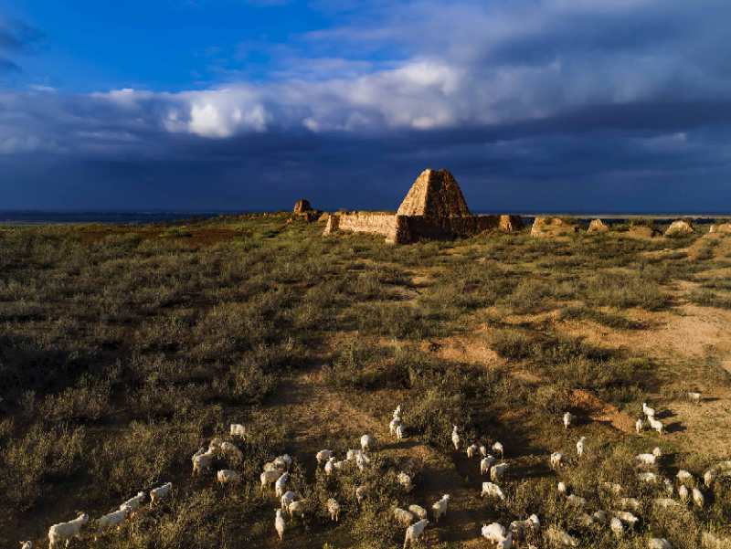 中国神池寻根,神池县文旅