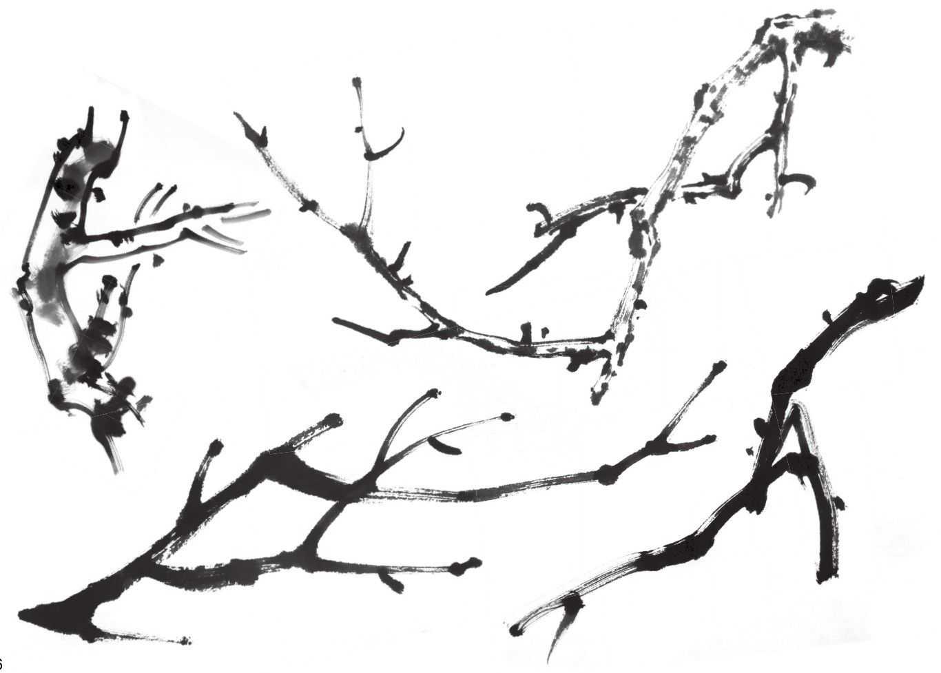 梅花入门画法教程,梅花的十种画法讲解