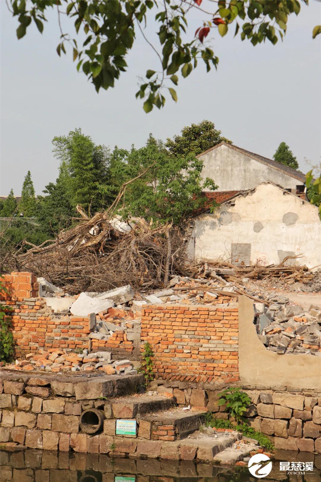 慈溪打听猫,慈溪要搬迁的村庄