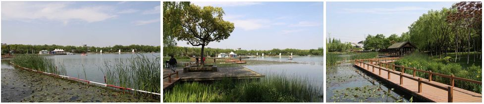 体育主题公园优秀案例,体育公园主题与特色