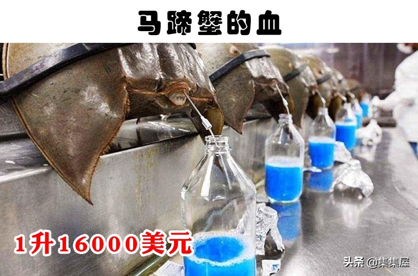 十种最贵的液体,世界上最值钱的十种液体