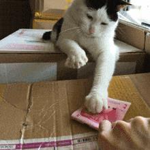 ppt素材去哪儿找,ppt素材大全百度网盘