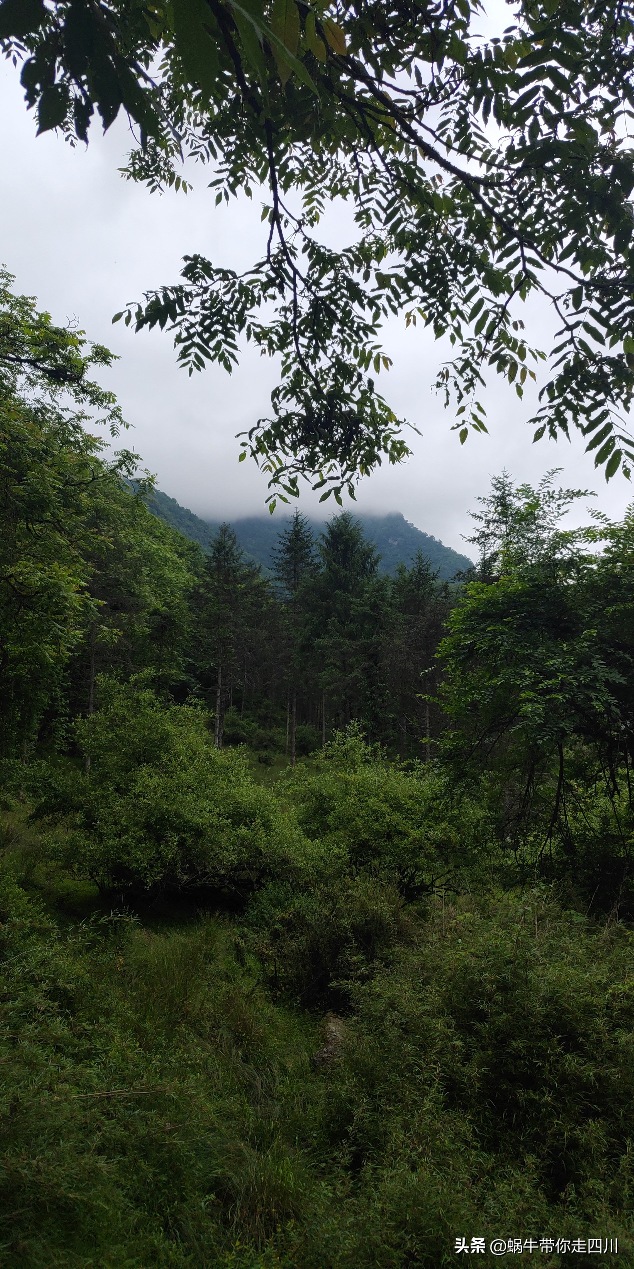 成都到西藏旅游一家三口,成都出发三天两夜旅行套票