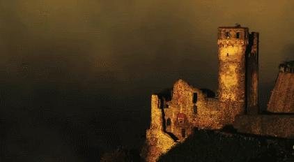 雷司令1987,雷司令588岁生日酒会