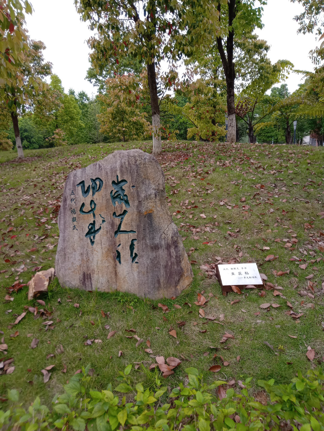 福州大学就像一座大公园，风景美到爆！最美的世界一流学科院校