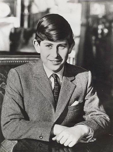 英国王室是怎样赚钱的,英国王室家庭收入