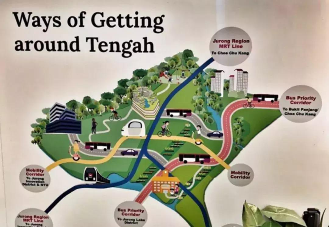 新加坡人口密度大却不拥挤,新加坡和香港哪个人口密度大