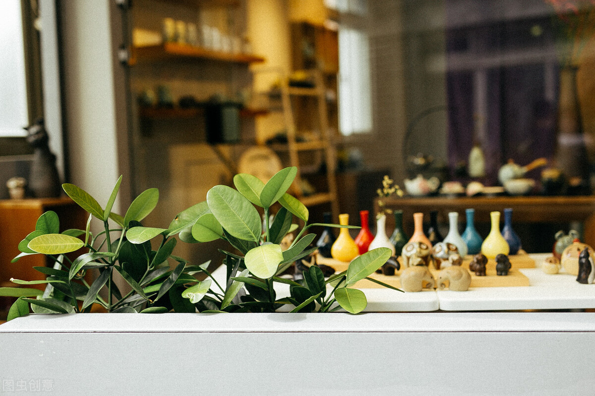 极简生活第99天,极简生活第二十一天