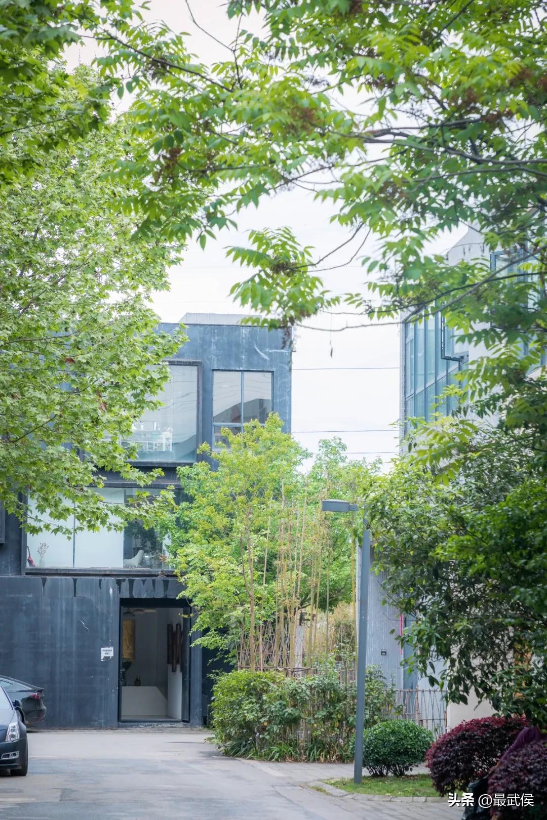 超便宜！成都铁轨下的花市5元买回一个春天！