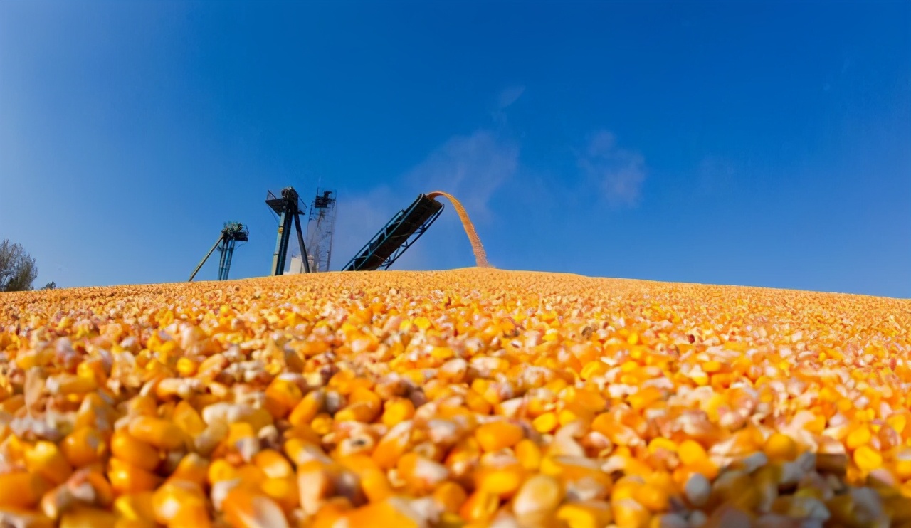 猪肉价格上涨二级预警,猪肉价格已连涨3周