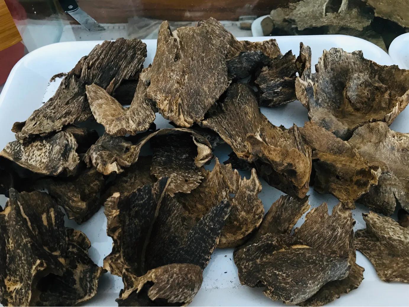 奇楠沉香茶春茶,沉香奇楠花茶小众