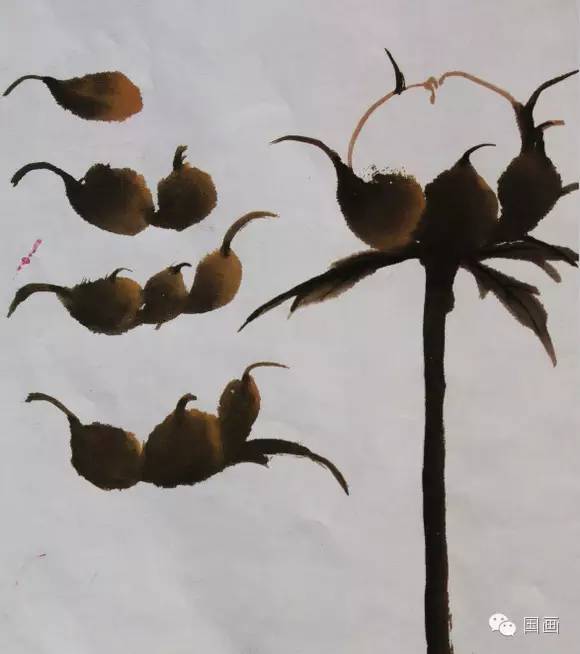 张克申写意牡丹画法教程,邵丹写意牡丹各阶段画法