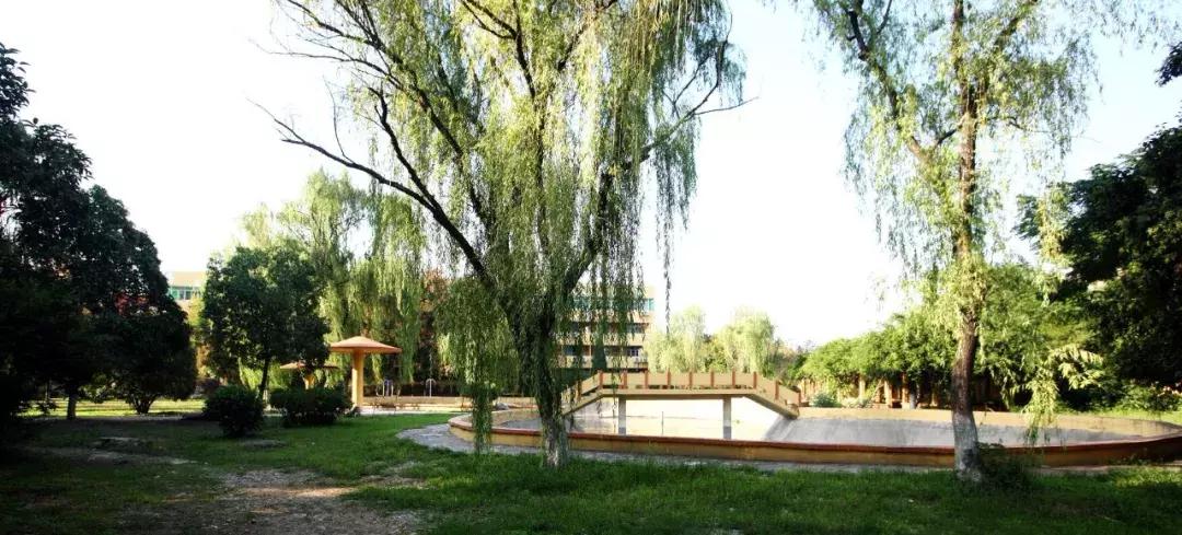 西安博爱国际学校中学部口碑,西安博爱国际学校全景