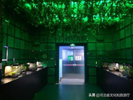 海洋公园特价35元起,快来唤醒来自世界各地的海洋居民吧!