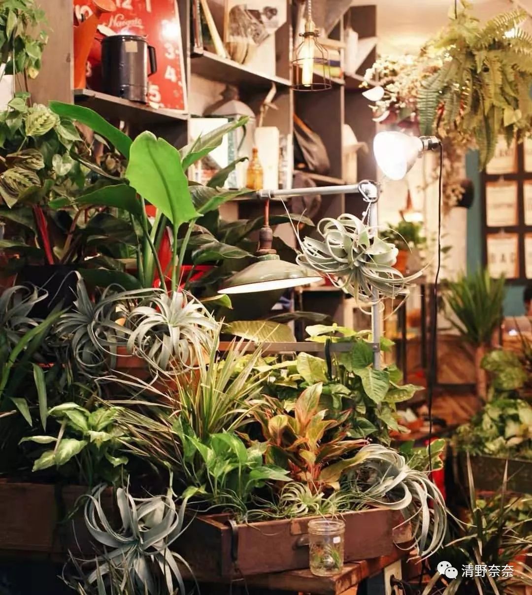 防晒霜过敏脸部自救方法,化妆品过敏紧急自救三步骤