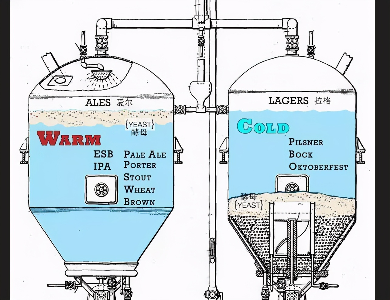 涨知识还很有意思,涨知识这些字你会读吗